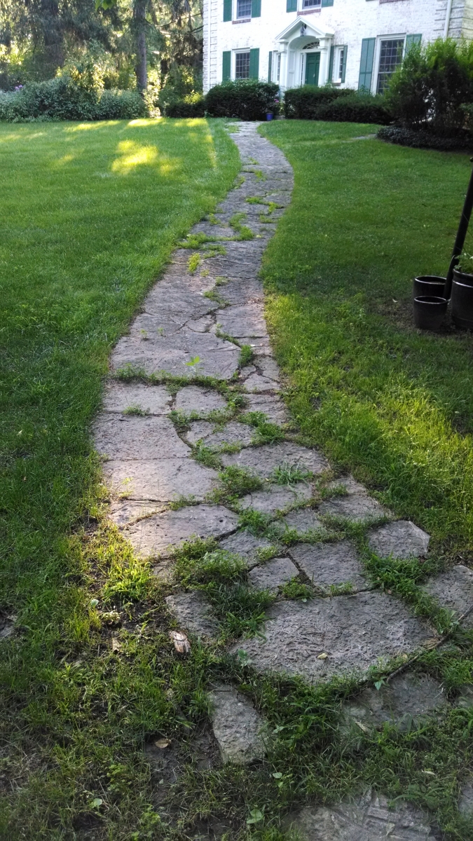 Limestone Paver Walkway Before Repairs & Cleaning