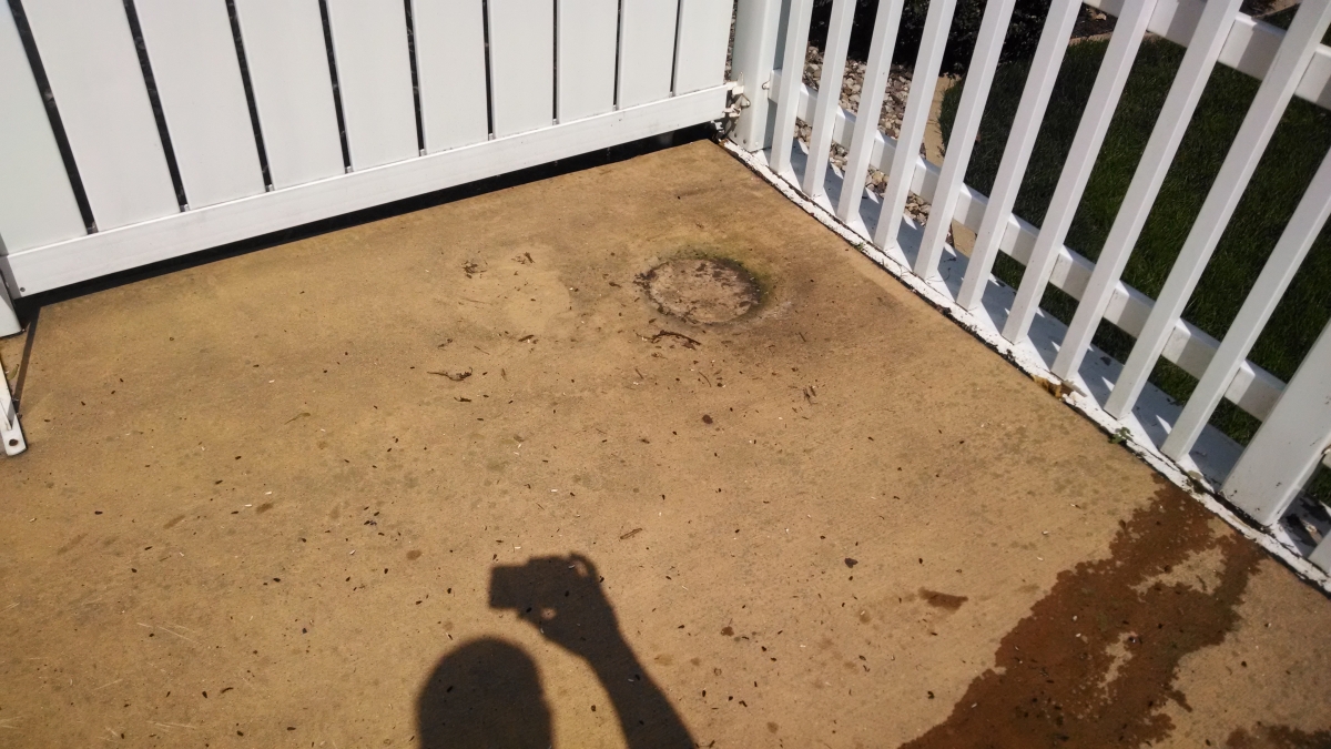 Decorative Sealing Project