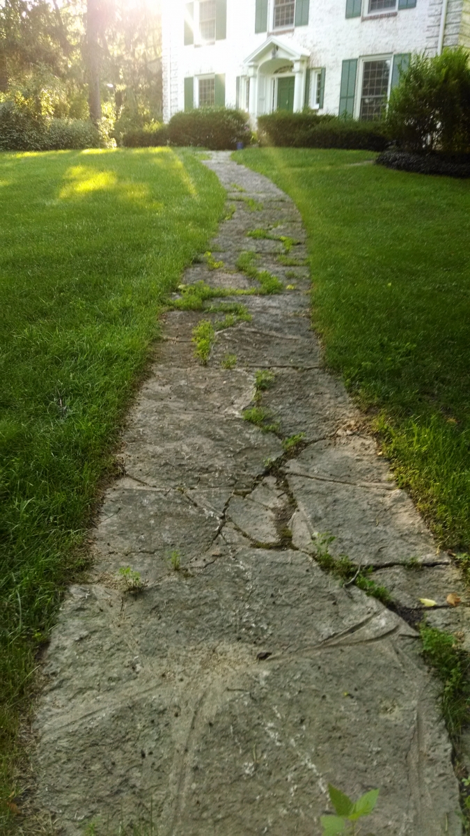 Limestone Paver Walkway Before Repairs & Cleaning