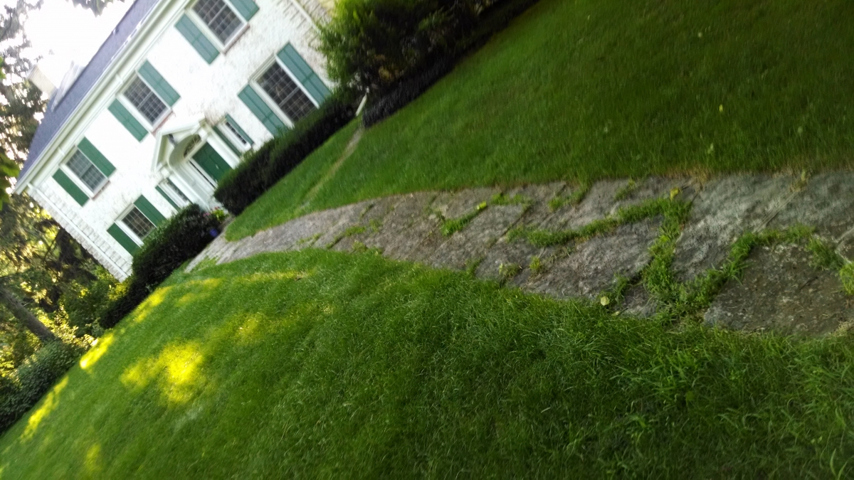 Limestone Paver Walkway After Repairs & Cleaning