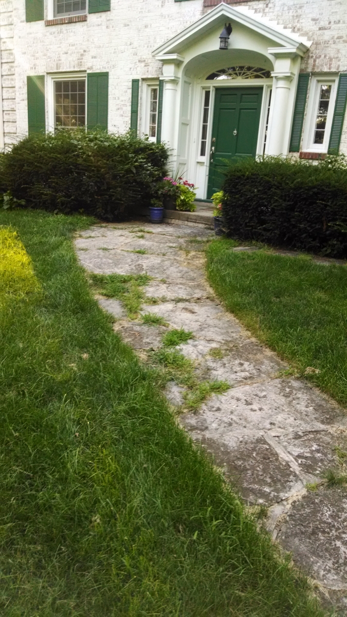 Limestone Paver Walkway After Repairs & Cleaning